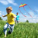 Cerf-volant – Image 3