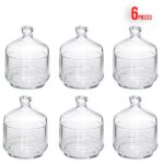 bol LAV avec couvercle pour mouled