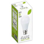 Ampoules Led B22 15W